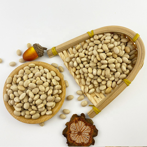 Offre Spéciale – Haricots Verts de Qualité Supérieure en Gros – Approvisionnement en Vrac Prêt à Expédier – Meilleure Qualité Alimentaire pour l'Exportation - Product Image 1