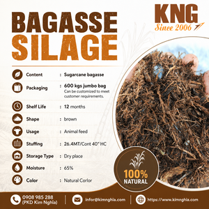 Alimento fermentado de bagazo de caña de azúcar KNG para ganado, vacas lecheras, búfalos, cabras y ovejas, natural, rico en fibra y ecológico. - Product Image 3