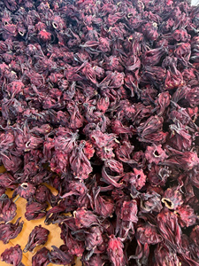 Fleurs d'hibiscus fraîches élégantes, ingrédient en vrac pour thé de roselle, thé en fleurs, pour boissons, tisanes, desserts, transformation alimentaire, Vietnam - Product Image 6