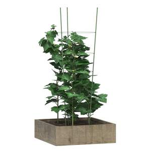 Ensemble de 5 supports de plantes vertes pour jardin, clôtures, treillis et portails - Product Image 3