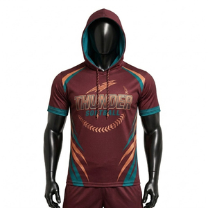 Sudadera con Capucha de Béisbol y Sóftbol con Logotipo Impreso, Conjunto de Jersey Sublimado 2026, Sudadera Deportiva Personalizada para Hombre de Alta Calidad - Product Image 1