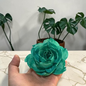 VADEE SOLA WOOD FLOWER Green Garden Rose 001 <b>Diffuser</b> Sola Wood Flowers Sustainable Craft Handmade Sesbania <b>Reed</b> Home Fragrance - Product Image 3