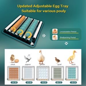 ตู้ฟักไข่48ฟองพร้อมเชิงเทียน LED และอุณหภูมิการหมุนอัตโนมัติและการตรวจสอบความชื้นสำหรับไก่และนกเป็ด - Product Image 3