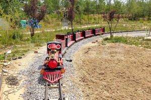 Nova Rides <span class=keywords><strong>Tren</strong></span> Eléctrico Turístico Miniatura para Parques de Atracciones, Juego de Paseo, Equipo de Parque de Diversiones, <span class=keywords><strong>Tren</strong></span> <span class=keywords><strong>Thomas</strong></span> - Product Image 6