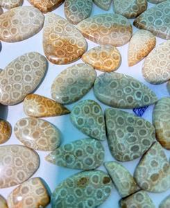 Coral Fósil Natural, Cabujón de Cristal Pulido, Gemas Minerales de Alta Calidad, Formas Mixtas, Materiales a Granel para la Fabricación de Joyería - Product Image 4