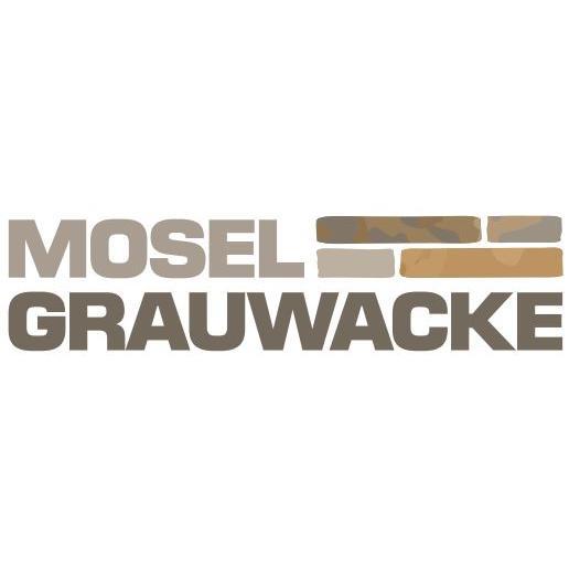 Heinz Schnorpfeil Baustoff GmbH & Co. KG logo