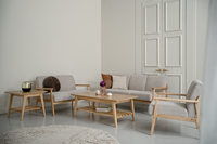 Canapé individuel rembourré en tissu confortable haute performance avec pieds en bois massif robustes et accoudoirs contemporains pour hôtel
