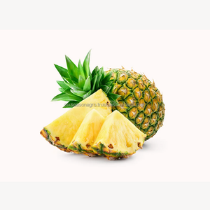 Piña Fresca Premium, Fruta Tropical Dulce, Calidad de Exportación, Proveedor Mayorista a Granel de Bangladesh, Six Season Agro - Product Image 1