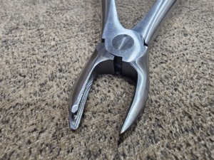 Extracteur dentaire en acier à becs courbés, forceps d'extraction manuel certifié CE, instrument de formation médicale pour chirurgie dentaire - Product Image 5