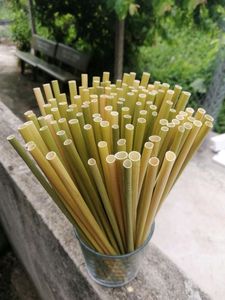Pailles à boire jetables en bambou du Vietnam, fabriquées à la main, biodégradables, sans PFAS, 200 mm - Product Image 4