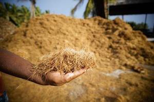 Unwashed Coco Crush Coconut <b>Coir</b> <b>Block</b> Eco-Friendly Biodegradable High Water Retention Gardening Substrate for Planting Farming - Product Image 3