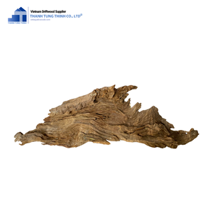 THANH TUNG THINH Branche de bois flotté naturelle de forme irrégulière, décoration écologique pour aquarium, utilisation en intérieur - Product Image 4