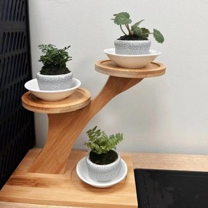 Pot de fleurs en teck artisanal de luxe, jardinière décorative pour plantes d'intérieur et d'extérieur, décoration rustique pour la maison et le jardin, capacité de 20 L - Product Image 1
