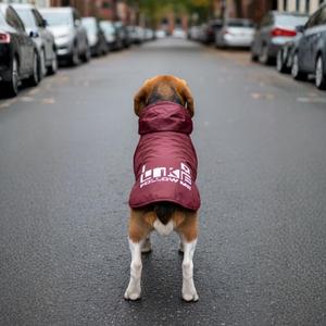 Impermeabile per Cani, Giacca Spessa e Calda per Animali Domestici, Protezione Completa Contro Freddo e Pioggia - Product Image 3