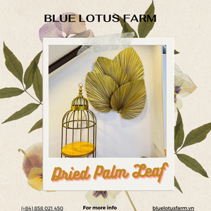 L'article le moins cher est le petit ventilateur d'été en feuille de palmier de style traditionnel avec raphia pour la décoration de mariage - Product Image 3