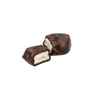 Fruitproducten van hoge kwaliteit, zachte gedroogde kokosnoot bedekt met chocolade, OEM fabrikant van kokosvlokken