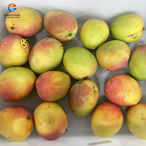 Machine à peler, dénoyaouter et diviser les mangues FXP-M8 pour mangues, kiwis, mini-ananas, citrons - Équipement automatique de transformation des fruits - Product Image 5
