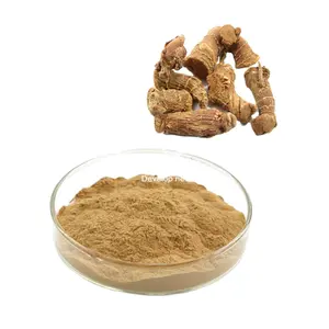 Galangal Powder-Lengkeras Spice-Kualitas Tinggi dari Pemasok VIETNAM/Penawaran Harga Terbaik/Diskon Besar 2023