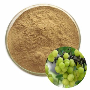 Polvo de Amla Premium, Polvo Puro de Grosella Indio, Rico en Vitamina C Natural para el Bienestar Inmunológico y el Apoyo Nutricional Diario - Product Image 3