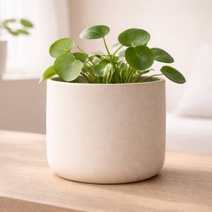 Maceta de Cerámica Negra Esmaltada de Lujo con Borde Dorado, Construcción Duradera, Decoración Moderna para Plantas de Interior - Product Image 5