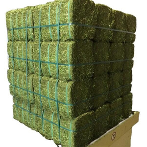 Foin d'alfalfa pour l'alimentation animale / granulés de foin d'alfalfa / foin de timothée en balles - Product Image 5