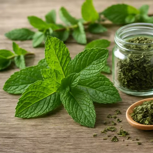 WARRLY Polvo de Extracto de Tulsi Premium, Superalimento Herbal Natural, Albahaca Sagrada de Grado Alimenticio 99%, Envasado al Vacío en Tambor, OEM, Marca Privada - Product Image 1