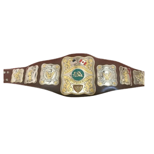 Cinturón de Campeonato de Lucha Libre Norteamericana, Trofeo Personalizado de Alta Calidad para Coleccionistas - Product Image 6