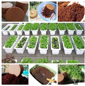 Coconut <b>Coir</b> Brick <b>Block</b> For Plant Growing Biodegradable Organic Coco Peat Hydroponic Horticulture Supply - Product Image 5