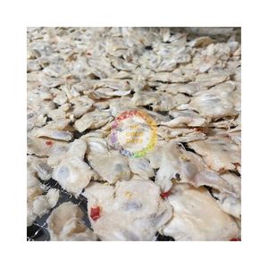 QUICK SALE SOFT DRIED SOURSOP <b>SNACK</b> SALTY AND SPICY SOURSOP FRUIT <b>SNACK</b> WITH TENDER TEXTURE SOFT DRIED FRUIT <b>SNACK</b> BEST SALE - Product Image 1