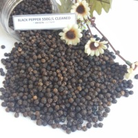 Poivre noir du Vietnam de qualité supérieure : FAQ, Nettoyé, Grains de 1 mm, Sans coquille - Épices VILACONIC pour l'exportation (Joice)