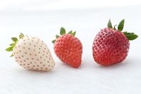Briljante kwaliteit, hoog gewaardeerd, streng geselecteerd, zoet, Japanse aardbeien, vers fruit