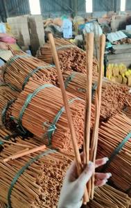 Venta al por Mayor de Ramas de Canela Cassia Vera - Calidad de Exportación Especial - Especias Secas Naturales - Suministro B2B de TrungThanh Vietnam - Product Image 2