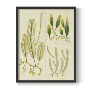 Arte de pared costera de madera maciza Vintage-'Sea Grass I' impresión enmarcada decoración del océano estilo Vintage elegante Impresión de Arte de pared de hierba marina - Product Image 2
