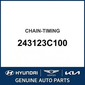 อะไหล่และอุปกรณ์เสริมรถยนต์และรถบรรทุกอื่นๆ ใหม่ 243123C100 - Product Image 1
