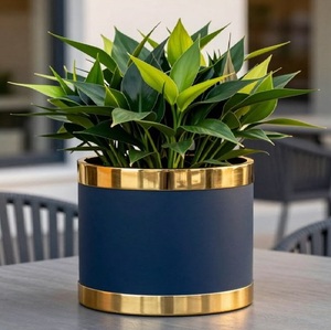 Pot de fleurs en métal de luxe avec bordure dorée, support de plantes décoratif moderne pour intérieur avec finition dorée, décoration intérieure pour la maison - Product Image 1