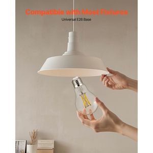 Confezione da 6 Lampadine LED Dimmerabili A19 Stile Edison Vintage, 4.5W 450 Lumen 2700K Bianco Caldo, Attacco E26 - Product Image 5