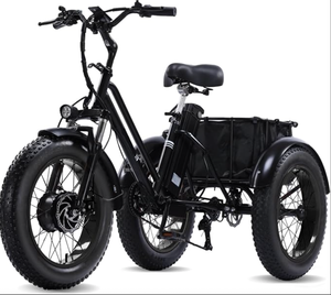 Triciclo Eléctrico para Adultos, Triciclo Motorizado con Motor sin Escobillas, Triciclo Eléctrico de 3 Ruedas, Batería de Litio Extraíble de 48V15AH, Alcance Máximo de 60-7 km - Product Image 1
