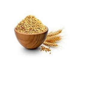 ข้าวสาลีและแป้งสาลีของไทยสำหรับตลาดต่างประเทศ - Product Image 4