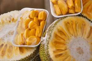 JACKFRUIT SANS GRAINES CONGELÉ IQF DE QUALITÉ SUPÉRIEURE EN PROVENANCE DU VIETNAM - Product Image 4