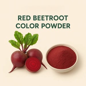Polvo de remolacha natural, grado alimenticio, cosmético y nutracéutico, proveedor mayorista de exportación, paquete de 500 gramos - Product Image 6