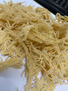 Eucheuma Cottonii - Wild Golden Irish Sea Moss con alta calidad/Purple Irish Sea Moss/Sra. Lima - Product Image 3
