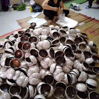 Bol de noix de coco designs chauds vente en gros d'usine bol de coquille personnalisé pour la décoration de la maison fabriqué au Vietnam
