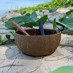 Tazón de Coco Hecho a Mano de Primera Calidad de 13-14 cm y Cuchara de Madera de Coco de 16 cm, Utensilios de Cocina Orgánicos Biodegradables, Proveedor Mayorista - Product Image 6