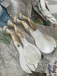 Designs de cuillères décoratives en coquillages du Vietnam pour les intérieurs côtiers, les restaurants, les hôtels et les détaillants de style de vie - Product Image 6