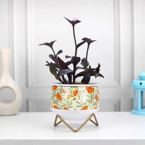 Modern Durable Gold Printing Enamel Finished Iron Flower <b>Vase</b> Brass Wire Cross <b>Stand</b> for Home Office or Wedding Decor - Product Image 5