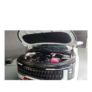 Kia Carnival HEV 2024, 9 places, limousine haut de gamme, véhicule spécialisé, conduite à gauche, boîte automatique, cuir, 36 209 km - Product Image 6