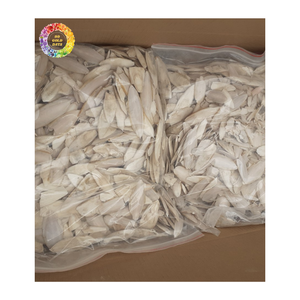 Hueso de Sepia Natural Premium para Alimentación Animal, Comida para Mascotas, Comida para Aves, Alimento para Acuicultura, Venta al Por Mayor, Proveedor de Vietnam - Product Image 6
