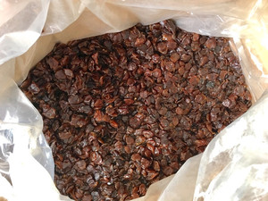 ลำไยอบแห้ง รสหวานธรรมชาติ ลำไยทองเวียดนามแท้ ขนมเพื่อสุขภาพ ใช้สมุนไพร บรรจุถุงซิปล็อค ฮาลาล ราคาโรงงาน ลำไย 2026 - Product Image 6