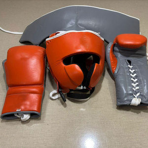 Juego de Boxeo de Alta Calidad con Guantes de Entrenamiento y Equipo de Protección, en Cuero Multicolor - Product Image 1