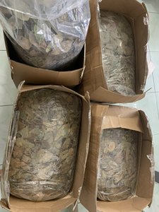 ใบฝรั่งอบแห้งพรีเมียมจากเวียดนาม ใบกราวิโอลาธรรมชาติสำหรับชาสมุนไพรและผู้จัดจำหน่ายเพื่อการส่งออก - Product Image 4